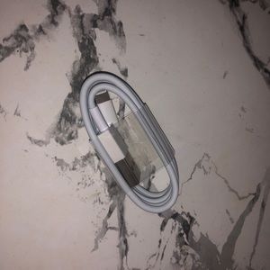 Apple iPhone charger